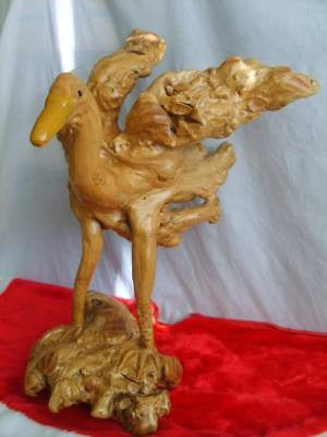 Hand carved from Rare Mangrove Tree 's Root