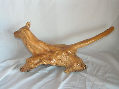 Dog Hand carved from Rare Mangrove Tree 's Root