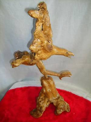 Eagle Hand carved from Rare Mangrove Tree 's Root