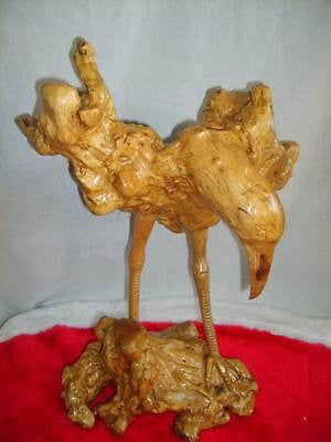 Pelican Hand carved from Rare Mangrove Tree 's Root