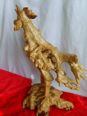 Rooster Hand carved from Rare Mangrove Tree 's Root